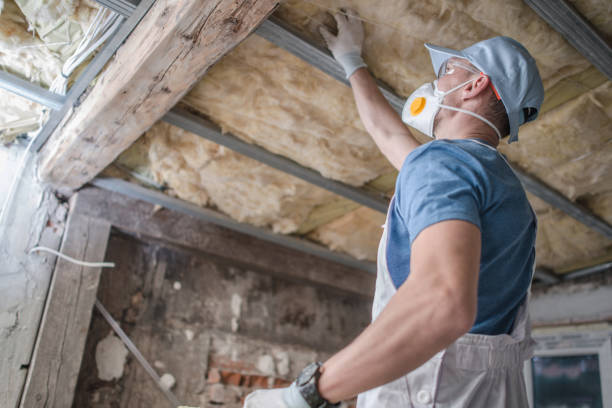 Best DIY Insulation Kits and Guidance in Sansom Park, TX