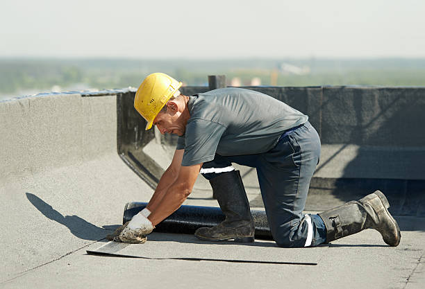 Best Cellulose Insulation in Sansom Park, TX